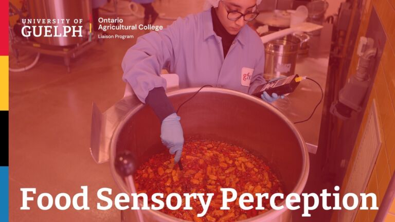 Food Sensory Perception 2026
